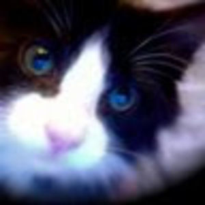 Meet your Posher, Tanya